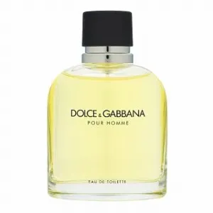 Dolce & Gabbana Pour Homme eau de Toilette für Herren 125 ml #291985