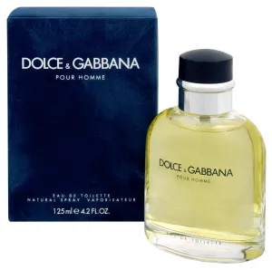 Dolce & Gabbana Pour Homme eau de Toilette für Herren 200 ml