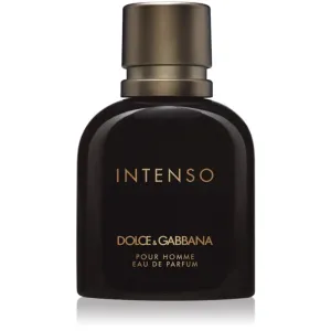 Dolce & Gabbana Pour Homme Intenso eau de Toilette für Herren 40 ml