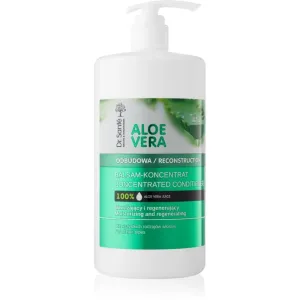 Dr. Santé Aloe Vera stärkender und erneuernder Conditioner mit Aloe Vera 1000 ml
