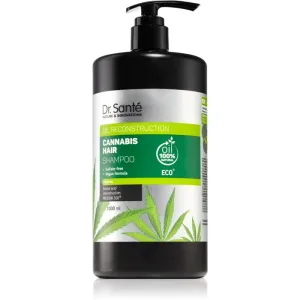 Dr. Santé Cannabis Regenierendes Shampoo mit Hanföl 1000 ml