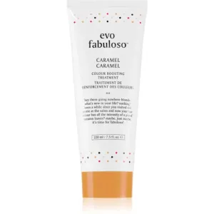 EVO Fabuloso Colour Boosting Treatment Maske für die Haare für eine leuchtendere Haarfarbe Farbton Caramel 220 ml