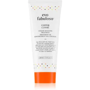 EVO Fabuloso Colour Boosting Treatment Maske für die Haare für eine leuchtendere Haarfarbe Farbton Copper 220 ml