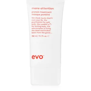 EVO Repair Mane Attention tiefenwirksame feuchtigkeitsspendende Maske für beschädigtes und coloriertes Haar 150 ml #1076049