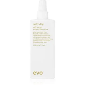 EVO Style Salty Dog salziges Spray für das Haar 200 ml