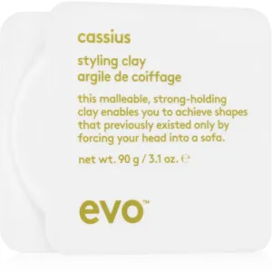 EVO Style Cassius Hairstyling-Lehm für Fixation und Form 90 g