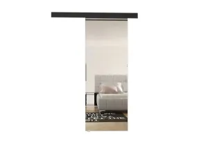 Schiebetür DOLANO II mit Spiegel, 86,5x205, schwarz
