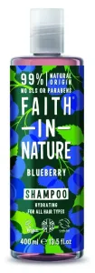 Faith in Nature Feuchtigkeitsspendendes Naturshampoo für alle Haartypen Blaubeere 400 ml
