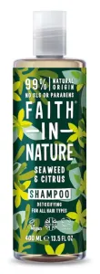Faith in Nature Natürliches Algenshampoo für alle Haartypen (Detoxifying Shampoo) 400 ml