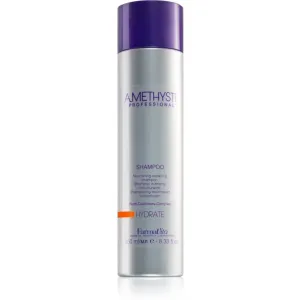FarmaVita Amethyste Hydrate Shampoo mit ernährender Wirkung für trockenes Haar 250 ml
