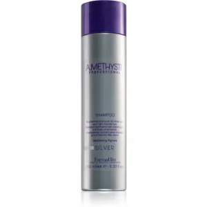 Amethyste Professional Silver Shampoo neutralisierte Shampoo für platinblondes und graues Haar 250 ml