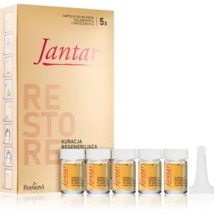 Farmona Jantar Amber Essence Pflege für die Wiederherstellung von geschädigtem Haar 5x5 ml