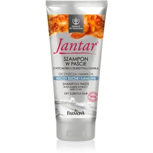 Farmona Jantar Amber Extract & Clay das Reinigungsshampoo für trockenes und zerbrechliches Haar 200 ml