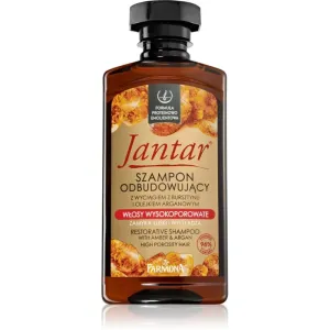Farmona Jantar High Porosity Hair Shampoo mit ernährender Wirkung für glänzendes und geschmeidiges Haar 330 ml