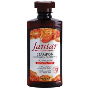 Farmona Jantar Shampoo für geschwächtes und beschädigtes Haar 330 ml