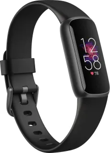 Fitbit Fitbit Stainless
