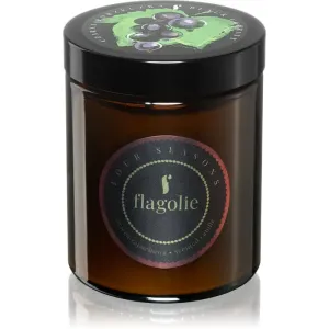 Flagolie Four Seasons Black Currant Duftkerze 120 g