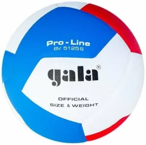 GALA BV5125 PRO-LINE 12 Volleyball, weiß, größe 5