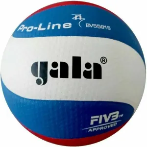 GALA PRO LINE BV 5591 S Volleyball, blau, größe 5