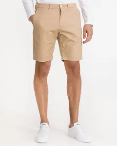 Gant D2.Regular Sunfaded Shorts Beige #280684