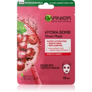 Garnier Textile Feuchtigkeitsmaske Hydra Bomb (Tissue Mask) 28 g