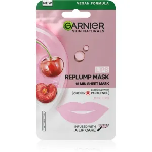 Garnier Skin Naturals Lips Replump Mask auffüllende Maske für Lippen 5 g