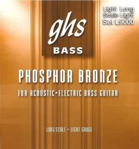 GHS Acoustic-Electr Bass Lt