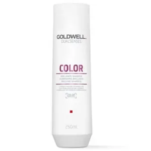 Goldwell Shampoo für normales bis feines Haar Dualsenses Color 250 ml
