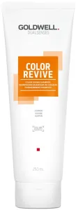 Goldwell Shampoo zur Revitalisierung der Haarfarbe Copper Dualsenses Color Revive (Color Giving Shampoo) 250 ml