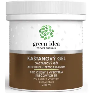 Green Idea Kastaniengel Massagegel für Blutgefäße 250 ml