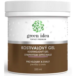 Green Idea Kostivalový gel Massagegel für Muskeln und Gelenke 250 ml
