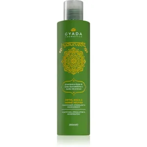 Gyada Cosmetics Hyalurvedic stimulierendes und erfrischendes Shampoo mit Hyaluronsäure 200 ml