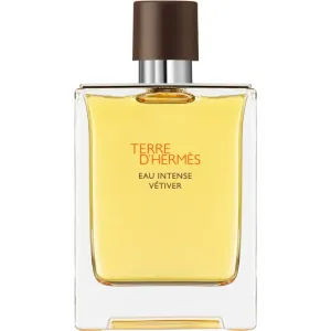 HERMÈS Terre d’Hermès Eau Intense Vétiver Eau de Parfum für Herren 100 ml