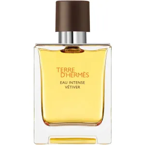HERMÈS Terre d’Hermès Eau Intense Vétiver Eau de Parfum für Herren 50 ml