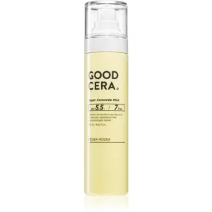 Holika Holika Good Cera energetisches und feuchtigkeitsspendendes Gesichtsnebel-Spray 120 ml