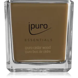 ipuro Essentials Cedar Wood Duftkerze 125 g