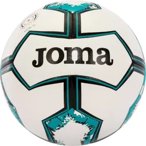 Joma DYNAMIC II BALL Fußball, weiß, größe 5