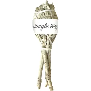 Jungle Way White Sage Heizer II. 10 cm