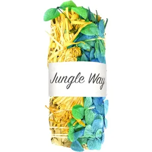 Jungle Way White Sage Chrysanthemum & Cloverleaf Heizer 10 cm