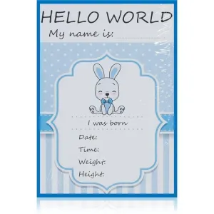 KidPro Milestone Cards Bunny For a Boy Meilensteinkarten