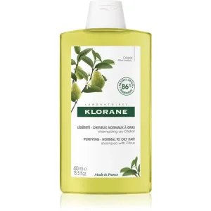 Klorane Purifying Shampoo Reinigungsshampoo für normales bis fettiges Haar 400 ml