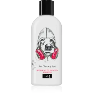 LaQ Music Purifies Cool Dogy Duschgel & Shampoo 2 in 1 300 ml