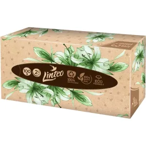 Linteo Paper Tissues Two-ply Paper, 100 pcs per box Papiertaschentücher 100 St