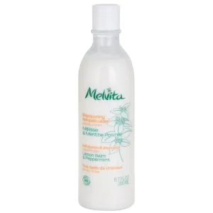 Melvita Anti-dandruff Shampoo gegen Schuppen für alle Haartypen 200 ml