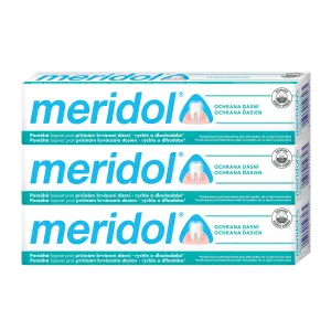 Meridol Gum Protection Zahnpasta unterstützt die Regeneration von gereiztem Zahnfleisch 3 x 75 ml