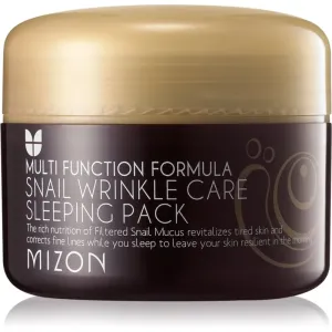 Mizon Multi Function Formula Snail regenerierende Maske für das Gesicht mit Schneckenextrakt 80 ml #316376