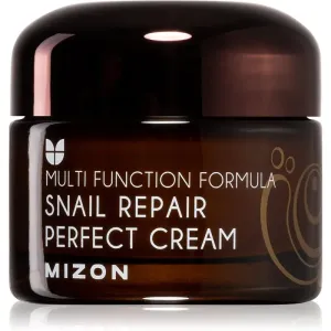 Mizon Multi Function Formula  Snail Gesichtscreme mit Filtrat aus Schneckensekret 60% 50 ml