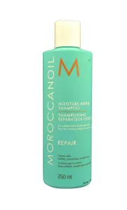 Moroccanoil Regenerierendes Shampoo mit Arganöl für schwaches und strapaziertes Haar (Moisture Repair Shampoo) 250 ml