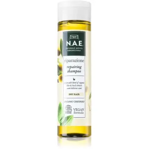 N.A.E. Riparazione Regenierendes Shampoo für trockenes Haar 250 ml