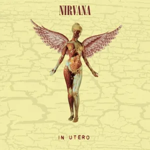 Nirvana - In Utero (Limited Edition) (LP + 10